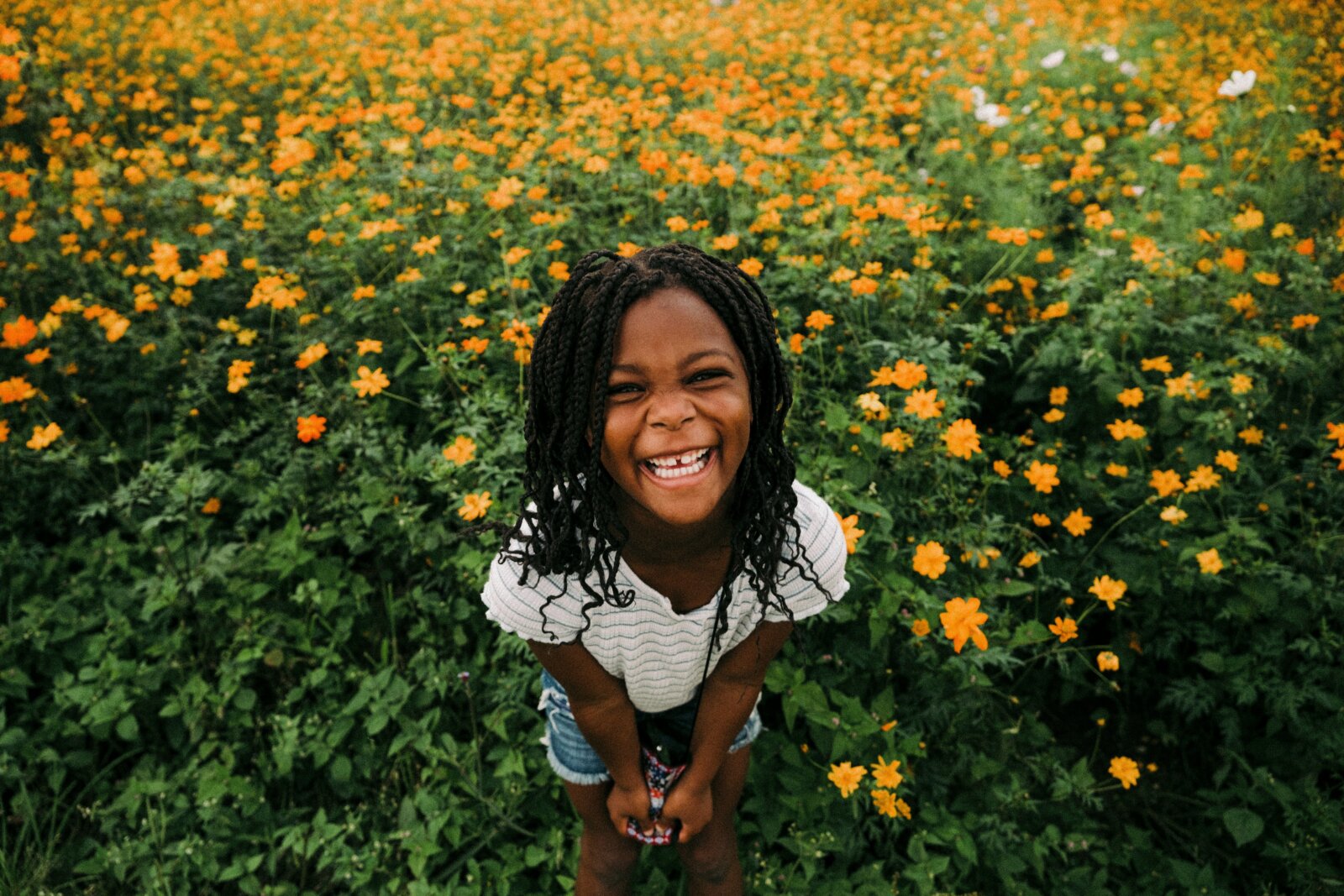 SPF for kids - Little girl standing in a field of flowers by Colin Meg via Unsplash