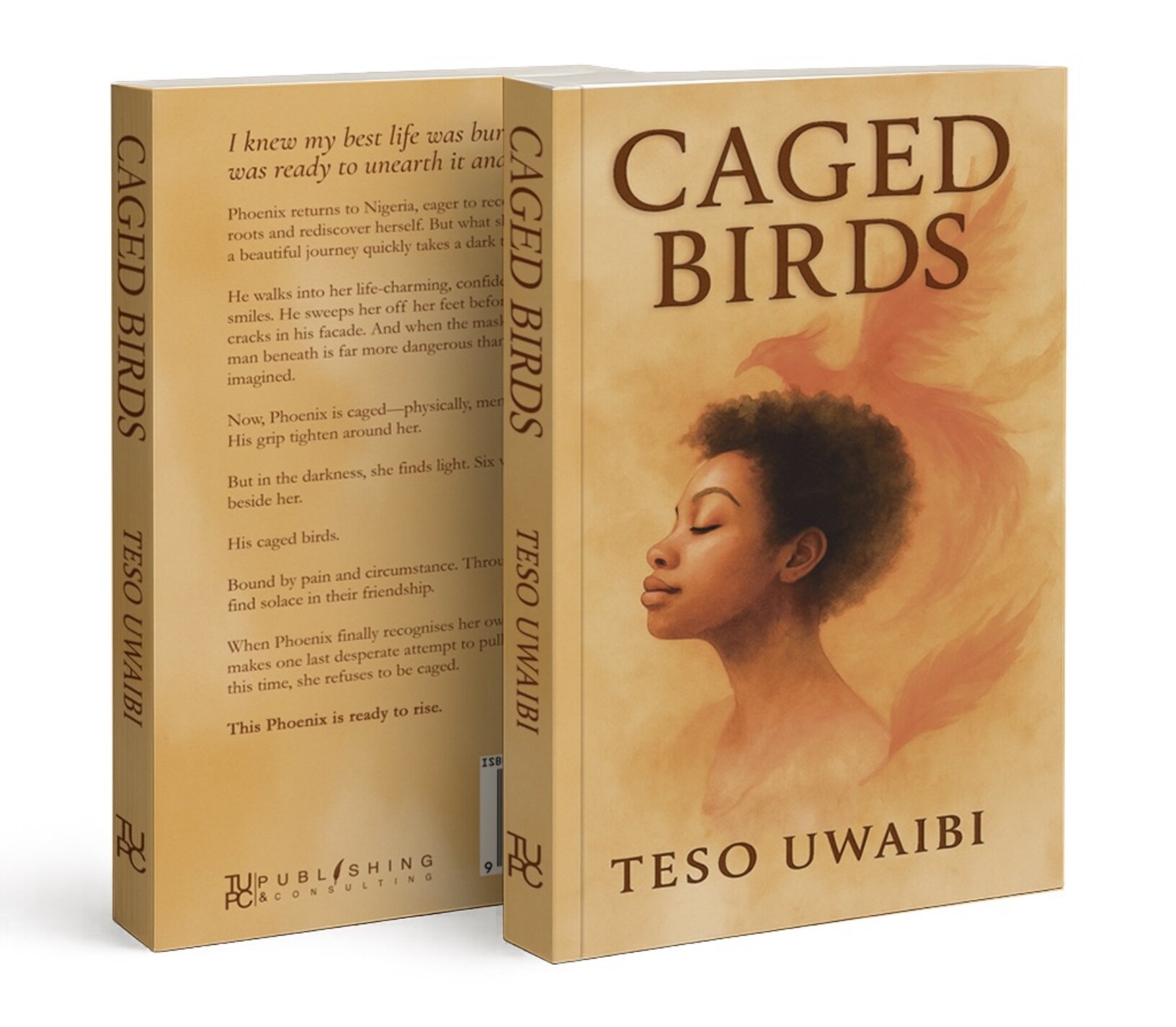 A mockup of the Teso Uwaibi's debut novel "Caged Birds"