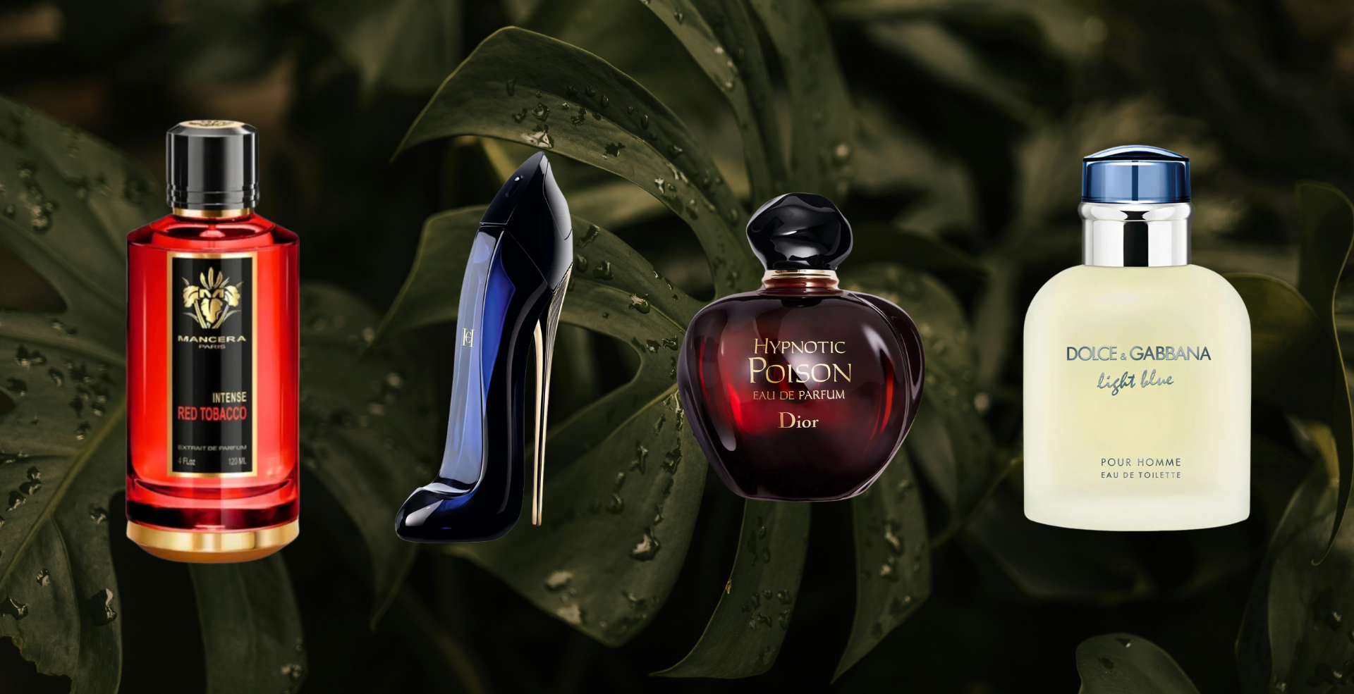 Via: essenza.ng; dior.com; Pedro Sousa via Unsplash+