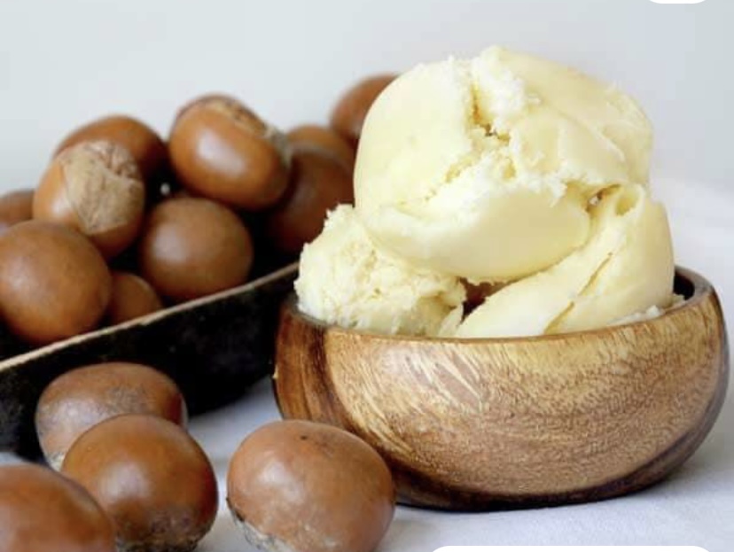 Beauty lessons - A wooden bowl of shea butter surrounded by shea seeds via Pinterest