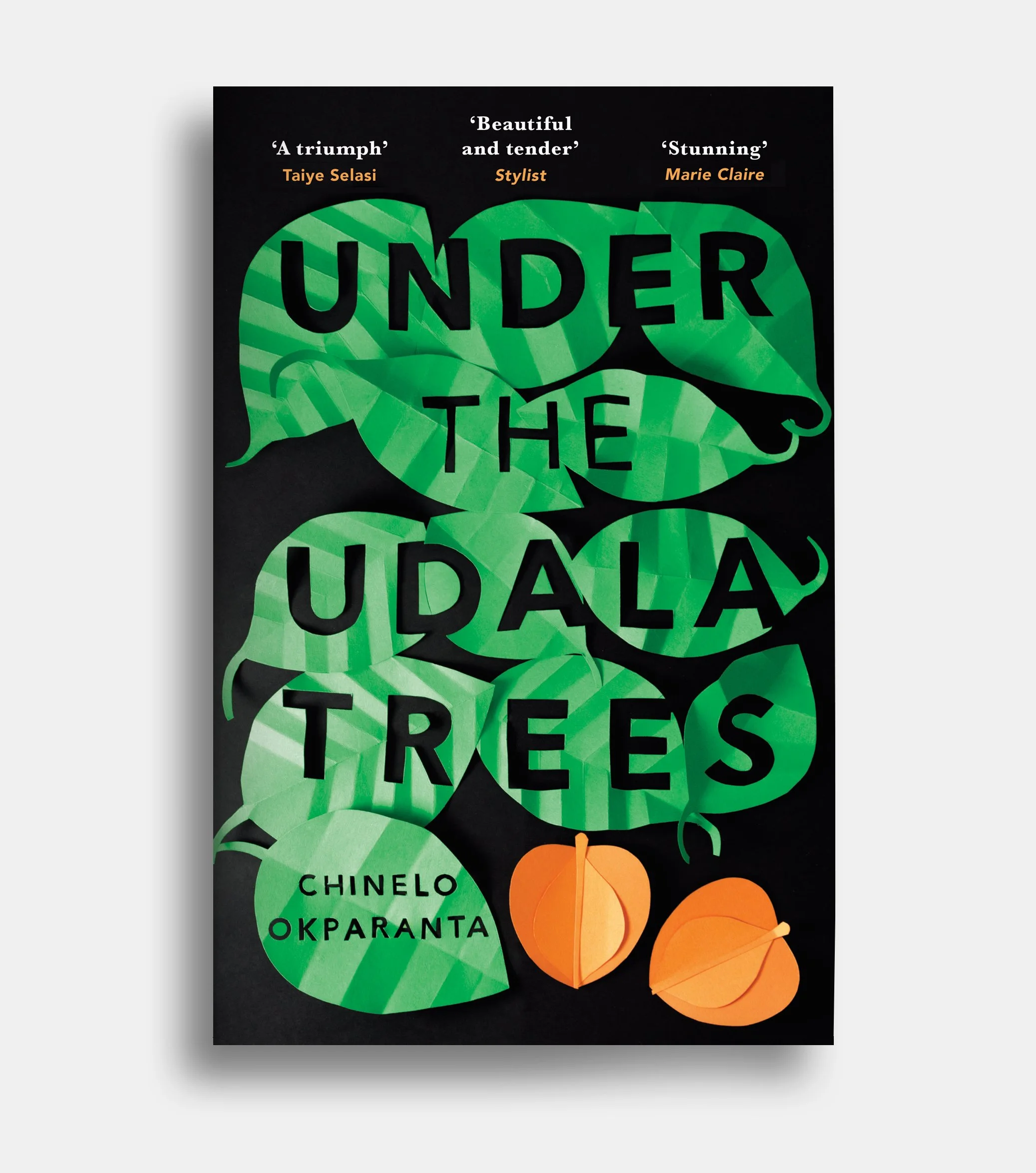 Book cover of Under the Udala Trees by Chinelo Okparanta via SINEM ERKAS