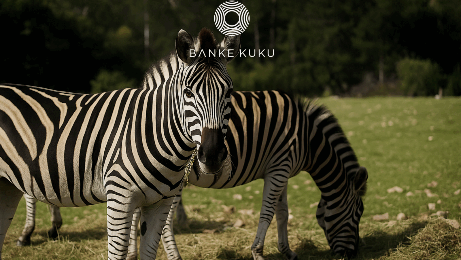 Savannah teaser via Robert Taylor Media