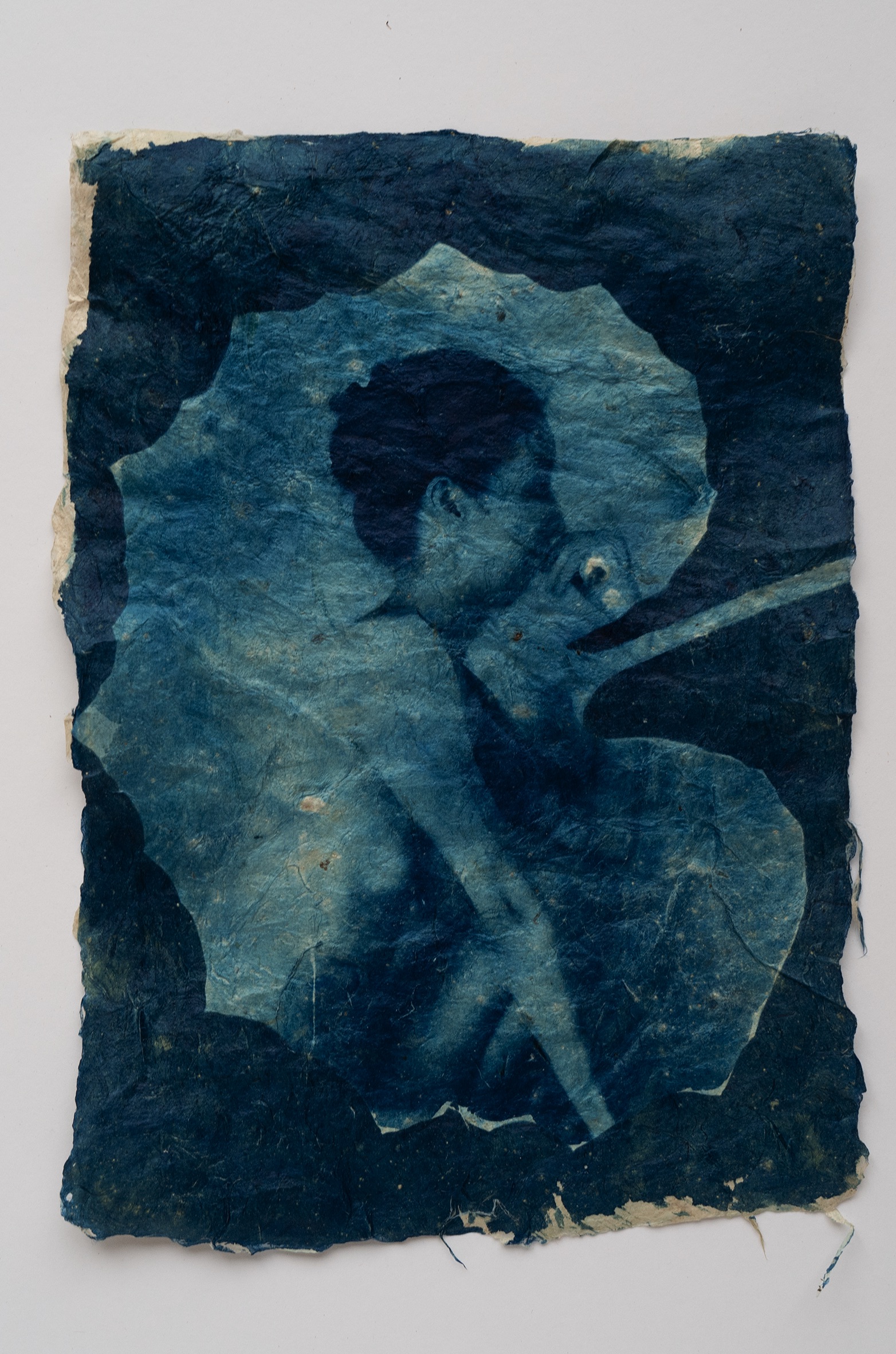 Fuki XI, 2024, Cyanotype on handmade Japanese gampi paper, 21 x 15 cm, Mika Horie