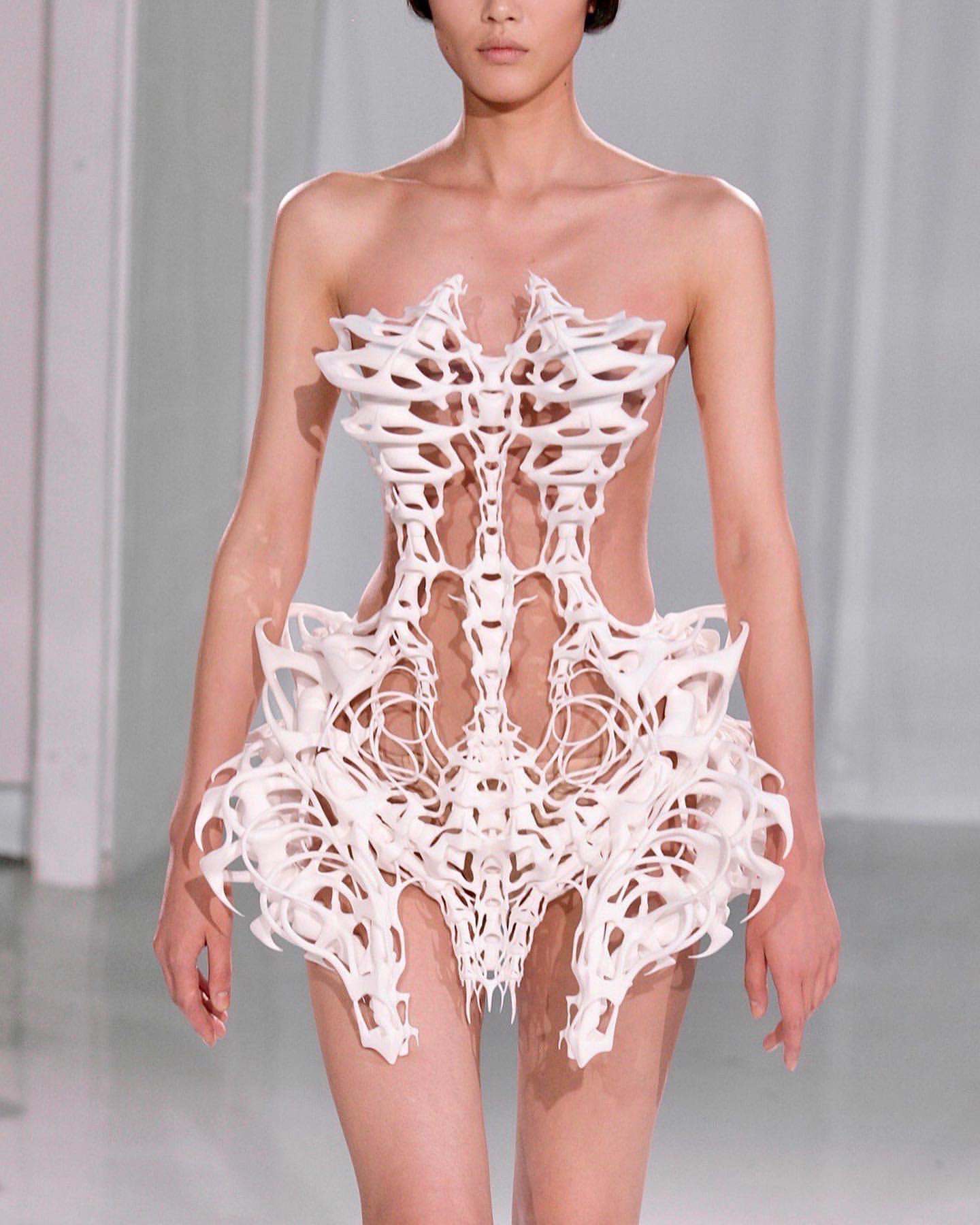 Capriole" 3D Printed Skeleton Dress by Iris van Herpen (2011)