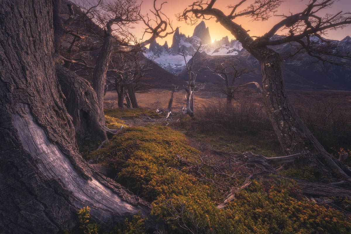 viaggio fotografico patagonia, campo tenda Poicenot