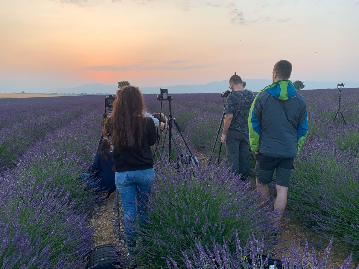 weshooters alba sui campi di lavanda viaggio fotografico provenza