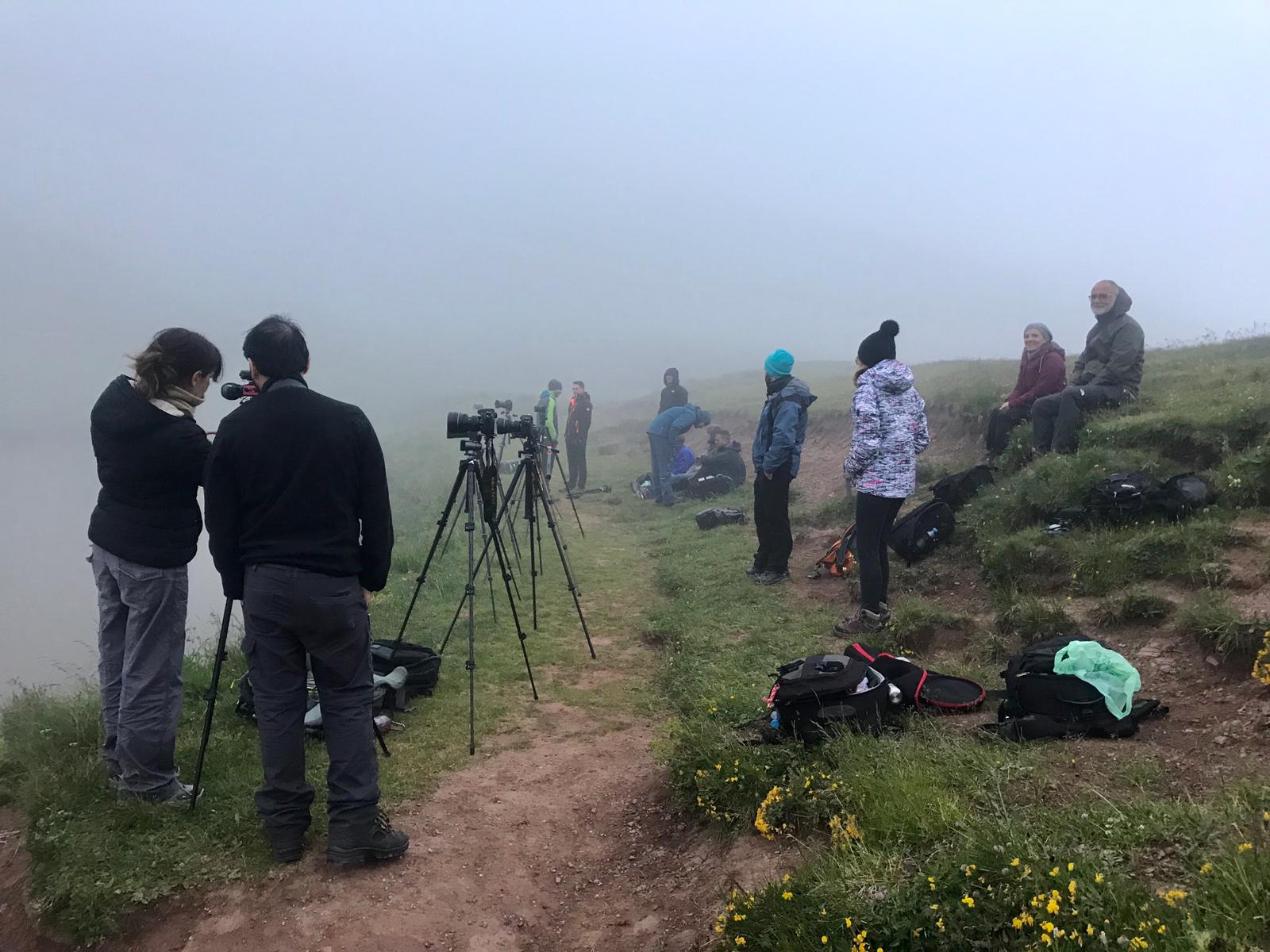 weshooters pale di san martino nebbia viaggio fotografico dolomiti