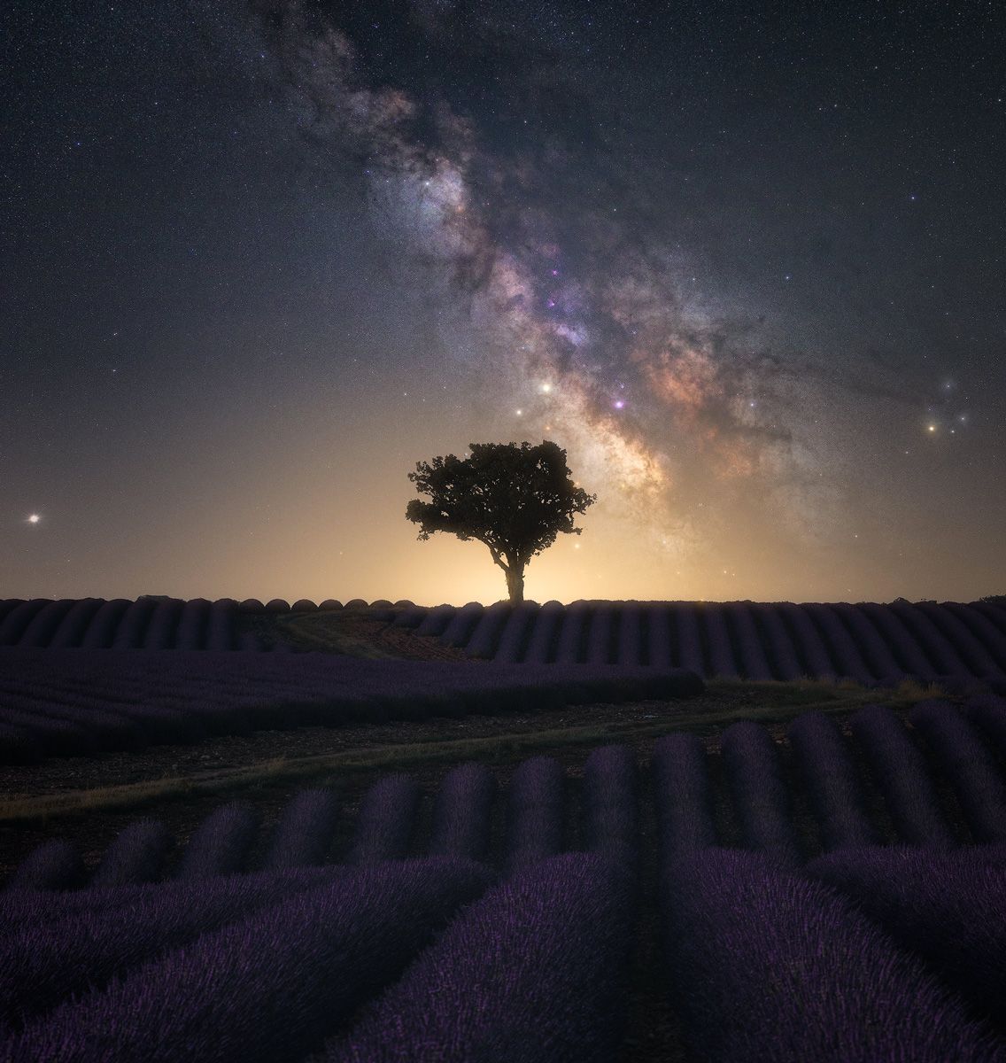 via lattea valensole viaggio fotografico provenza