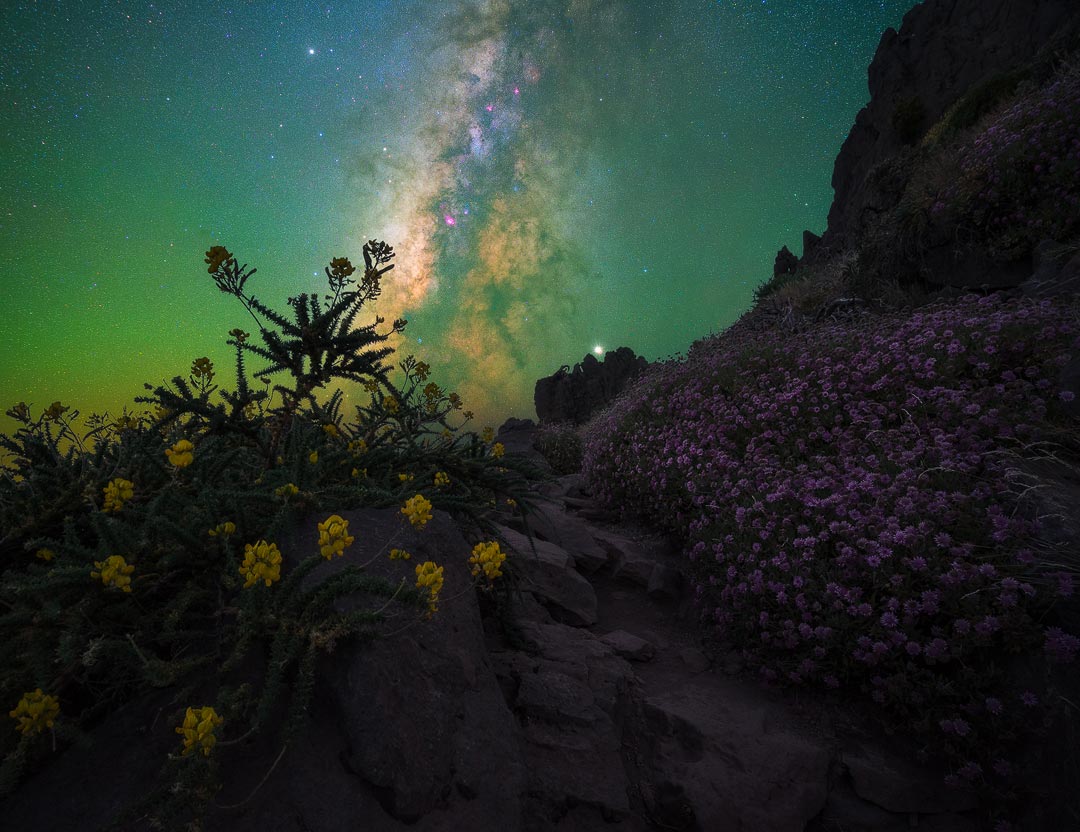 foto via lattea viaggio fotografico spagna la palma