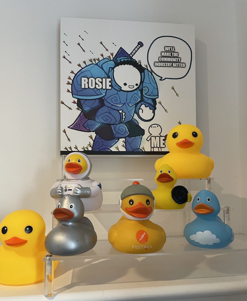 A display stand with a variety of ducks on show. A Postman duck. A silver duck. A cloud duck. A space duck.
