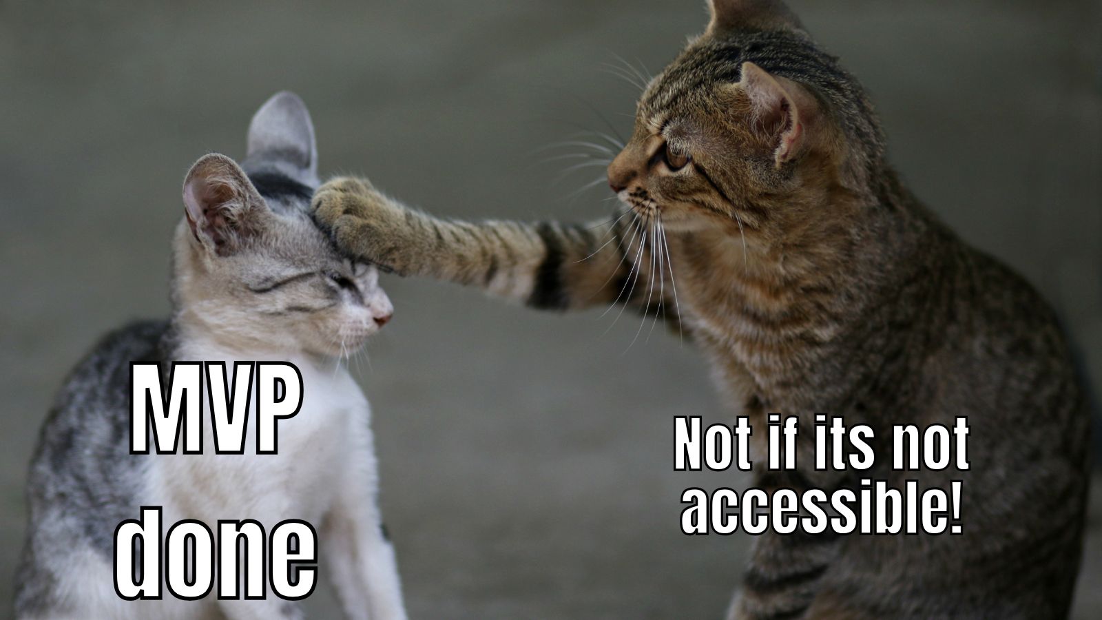 A grey coloured cat is saying MVP done while another hits it on the head replying, not if its no accessible! 