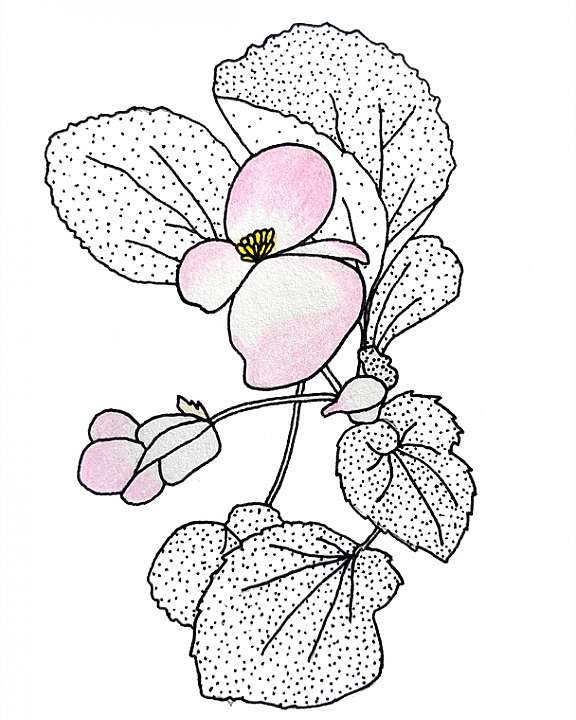 Emmie Joanna (draws)