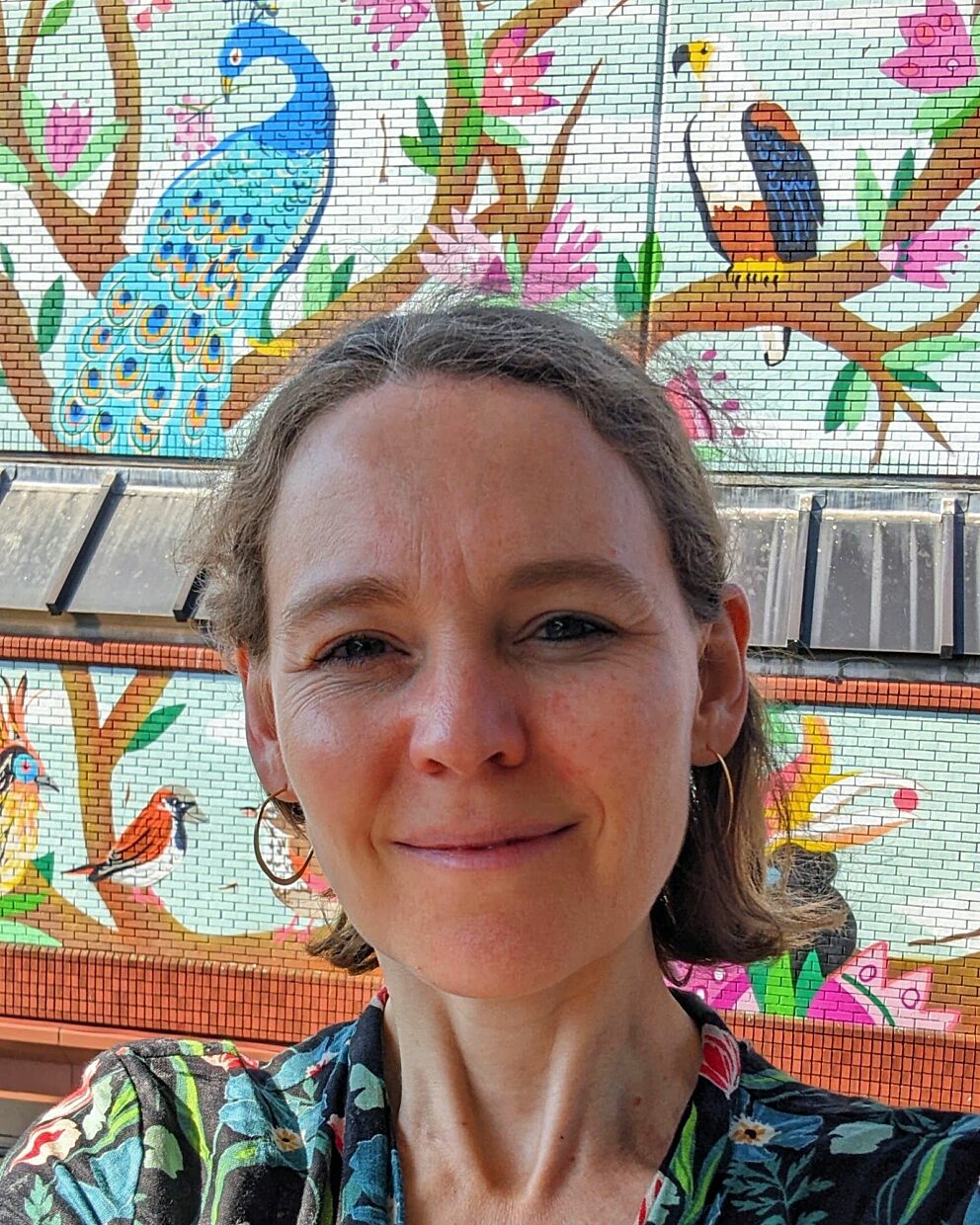 Phoebe Swan Illustration