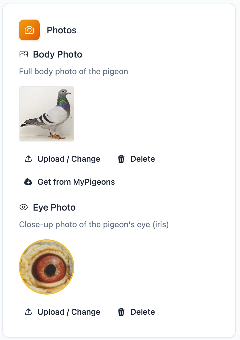 Adding Photos