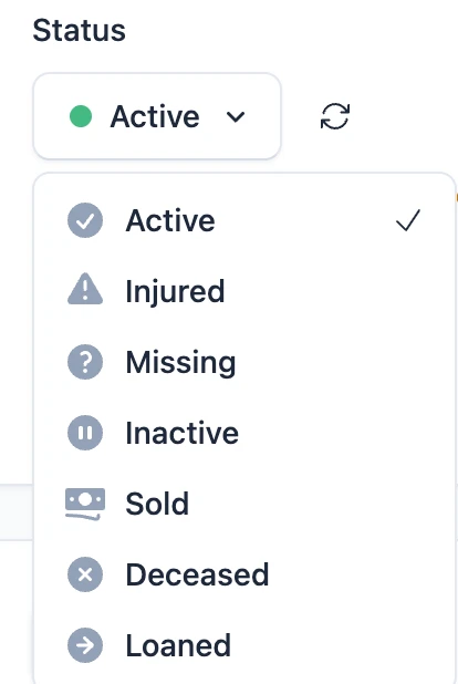 Available Statuses