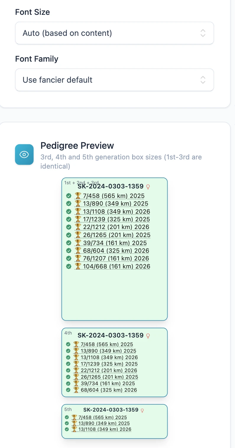 Text size in the boxes