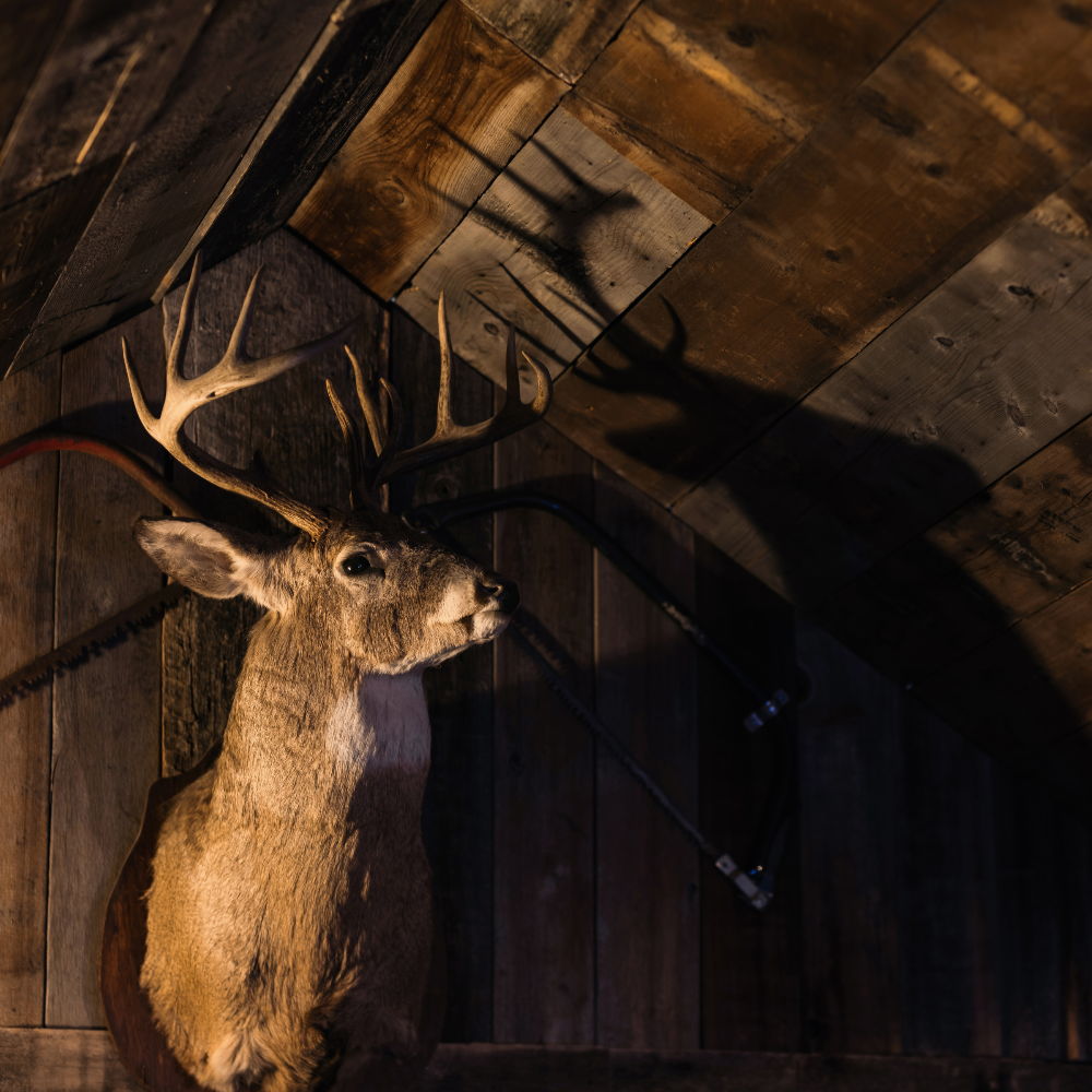 Woodsman Escape Room 4