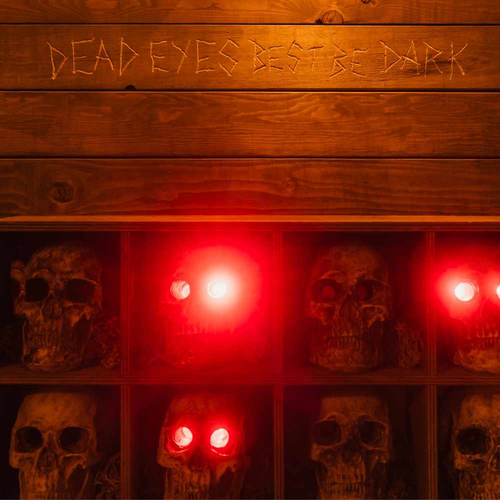 Mutiny Escape Room 4
