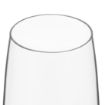 Picture of Olympia Serena Flutes 210ml (6 pack) - CZ003