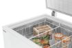 Picture of Chest freezer 479-W - 700969