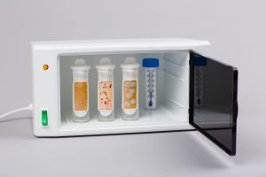 ECHA Incubator