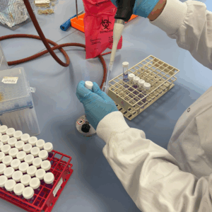 Lab work post site visits