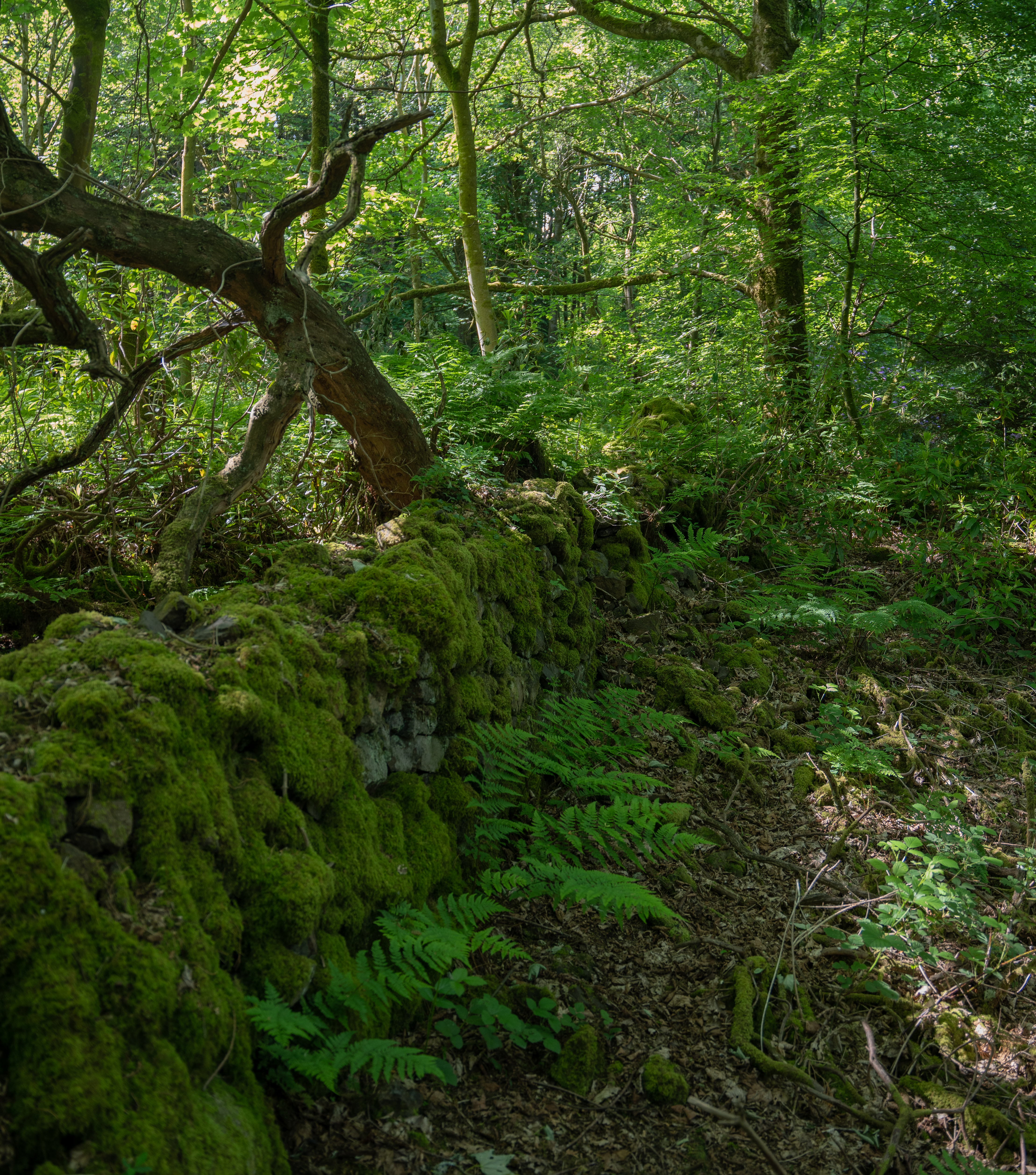 Finlaystone Country Park