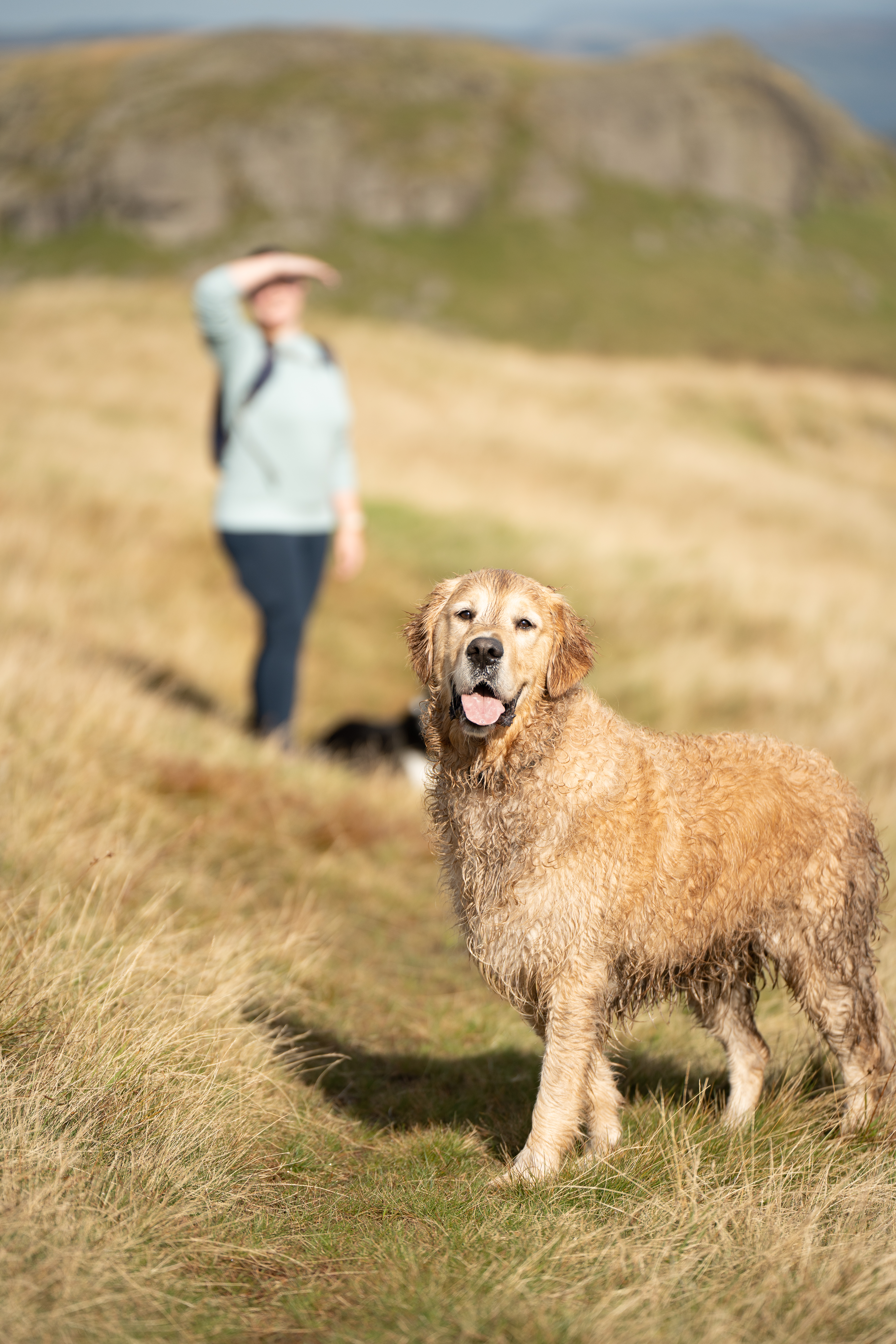 Windy Hill, Muirshiel Country Park