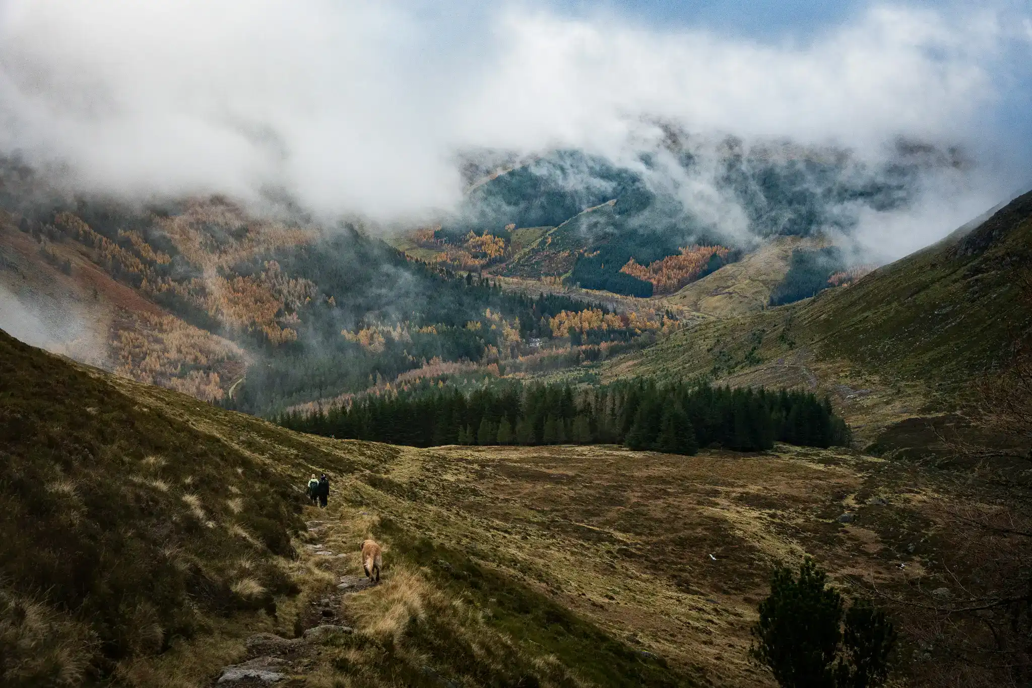 Misty views on the way down