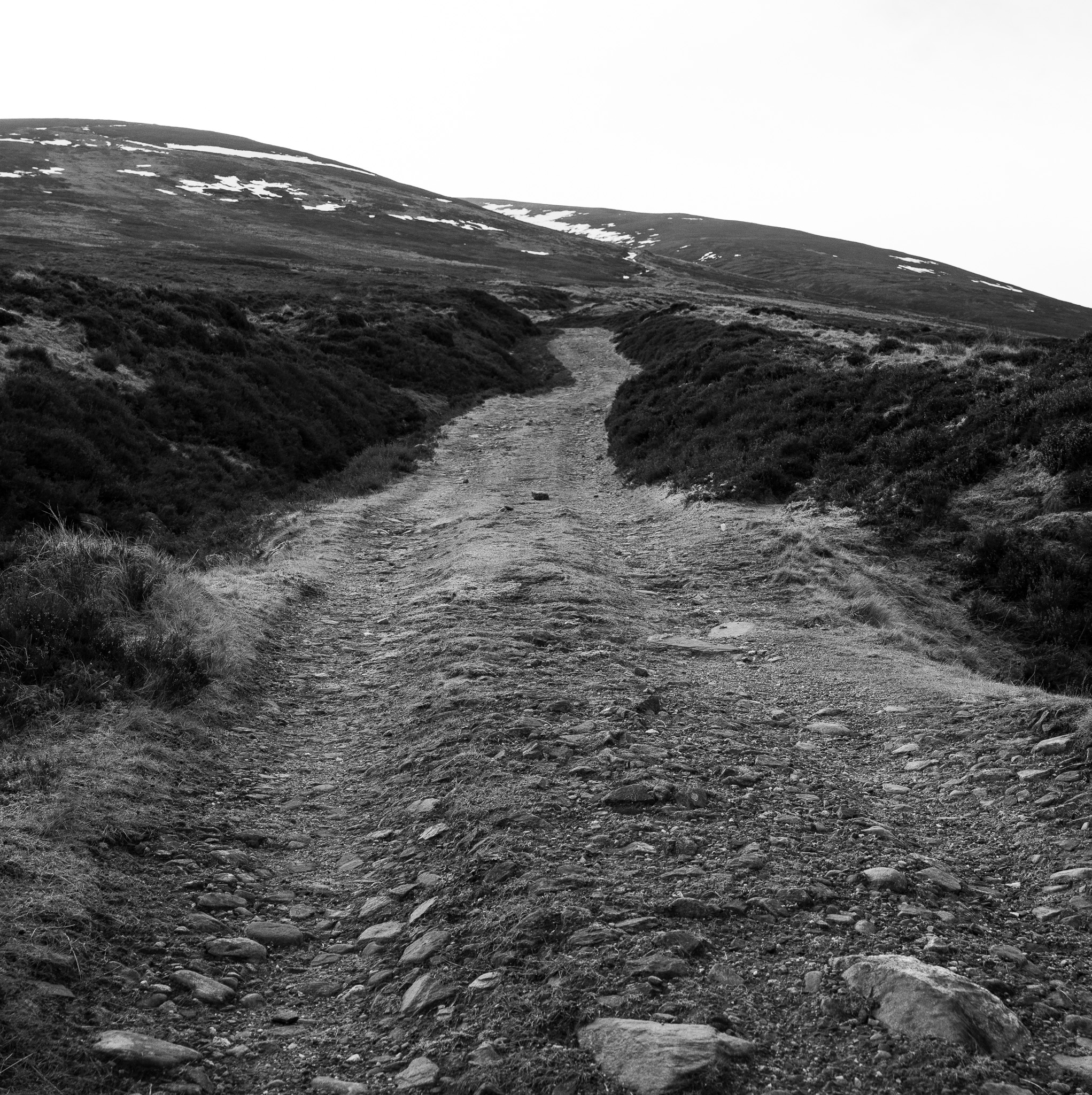 An artsy shot of the path up