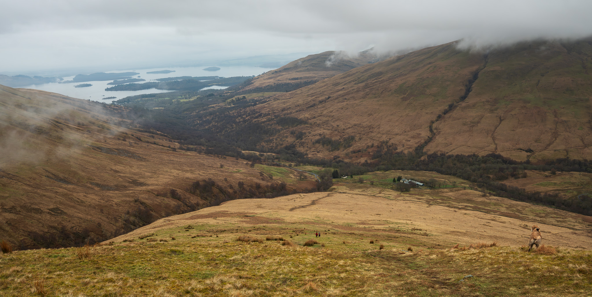 The views started to clear a little on the way down... typical