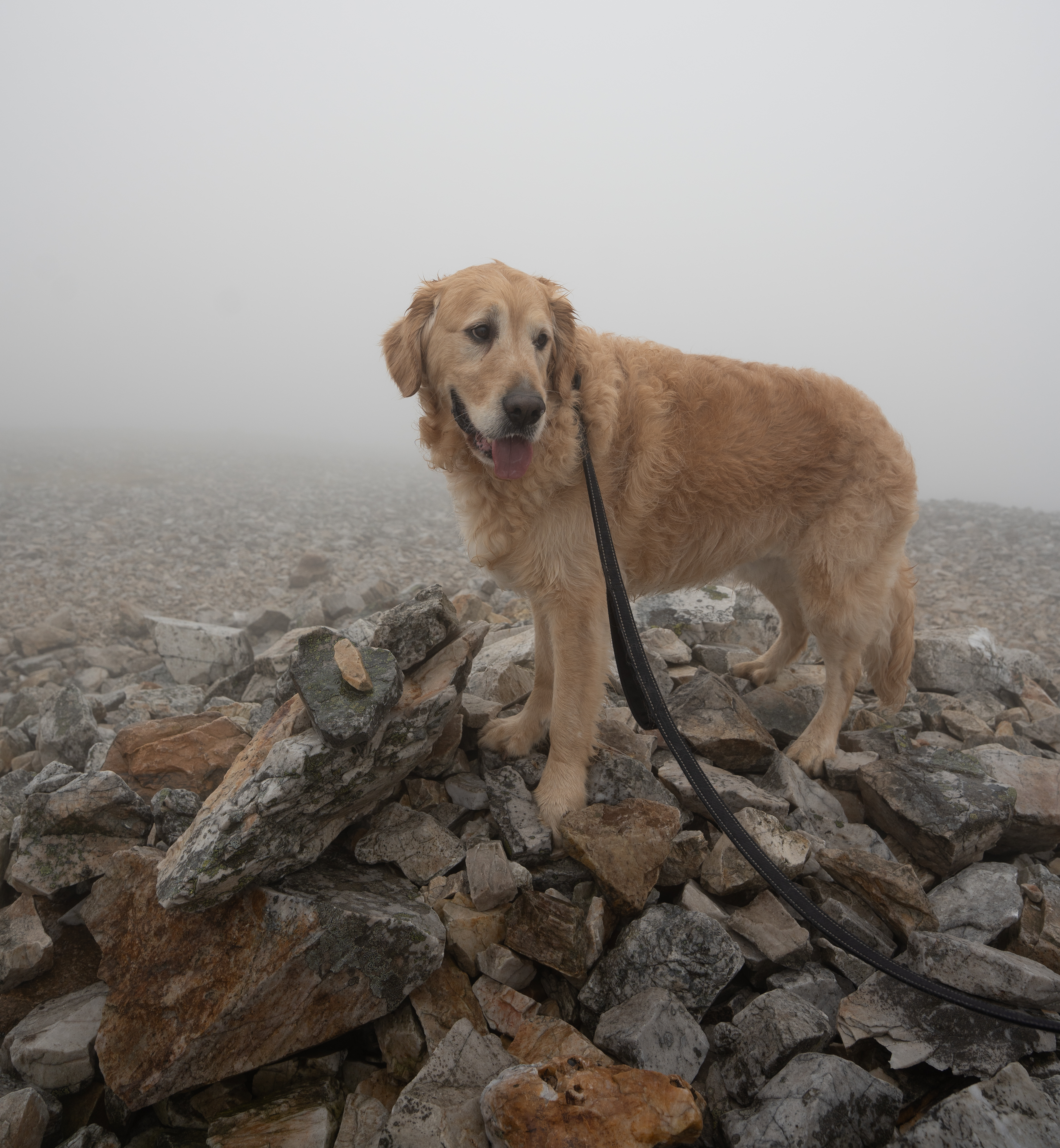 The Cairnwell Munros - Hike Report