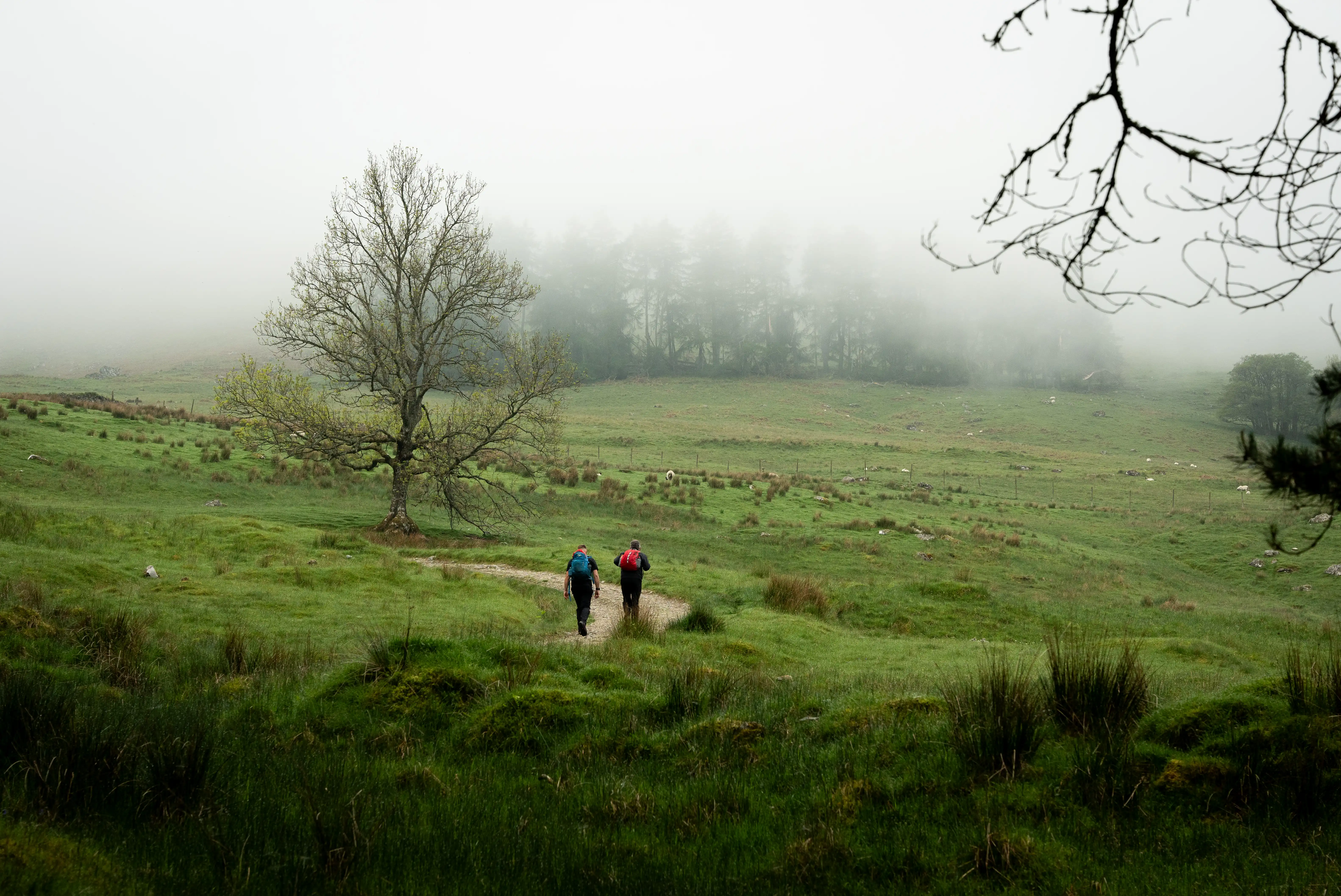 Ben Vorlich and Stuc A' Chroin - Hike Report