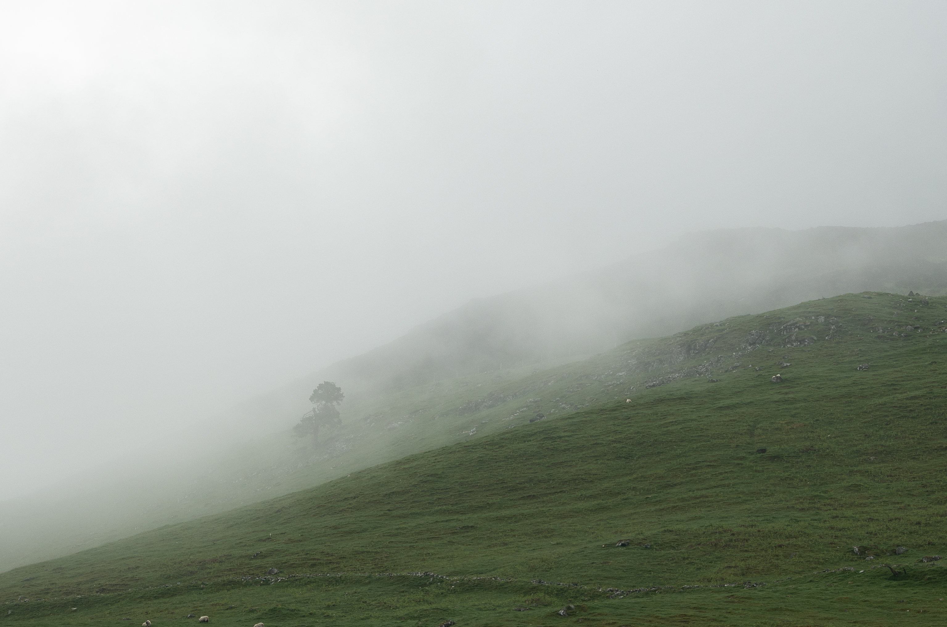 Ben Vorlich and Stuc A' Chroin - Hike Report