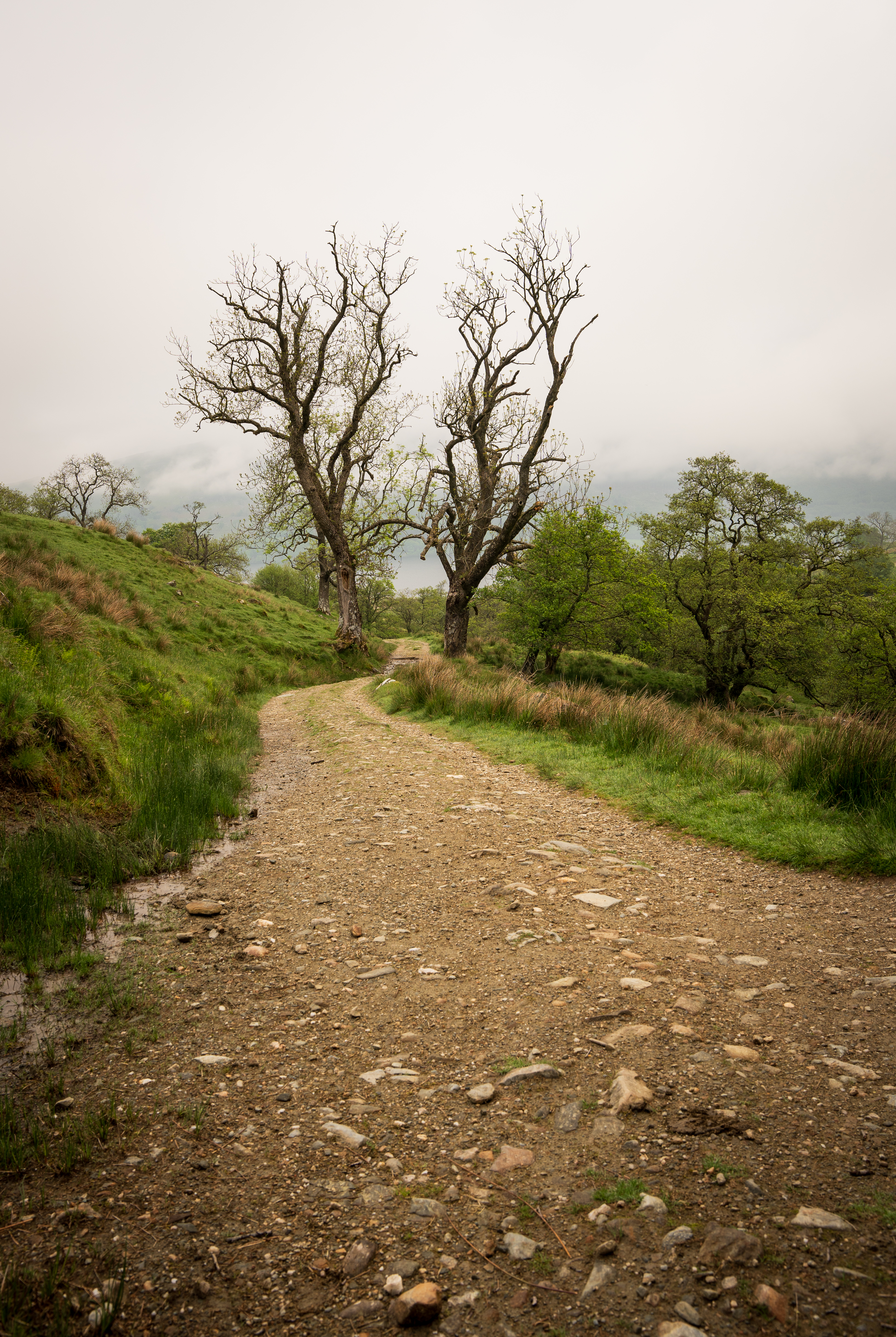 Ben Vorlich and Stuc A' Chroin - Hike Report