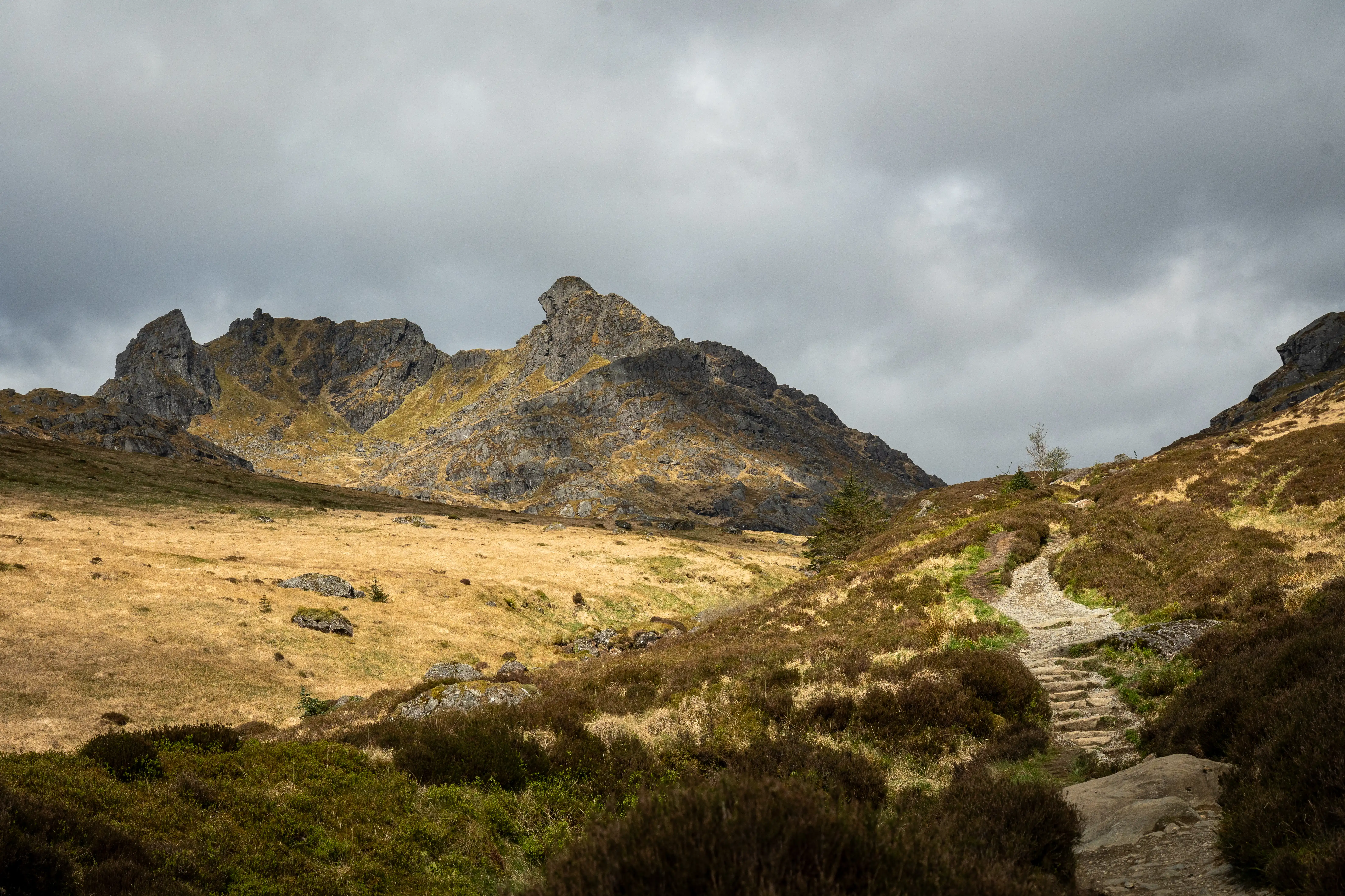 Ben Arthur — The Cobbler