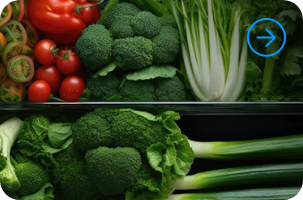 What temperature should a fridge be?