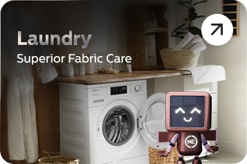 Platinum Laundry Image