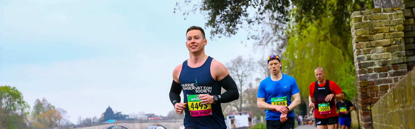 Seas the Day challenges