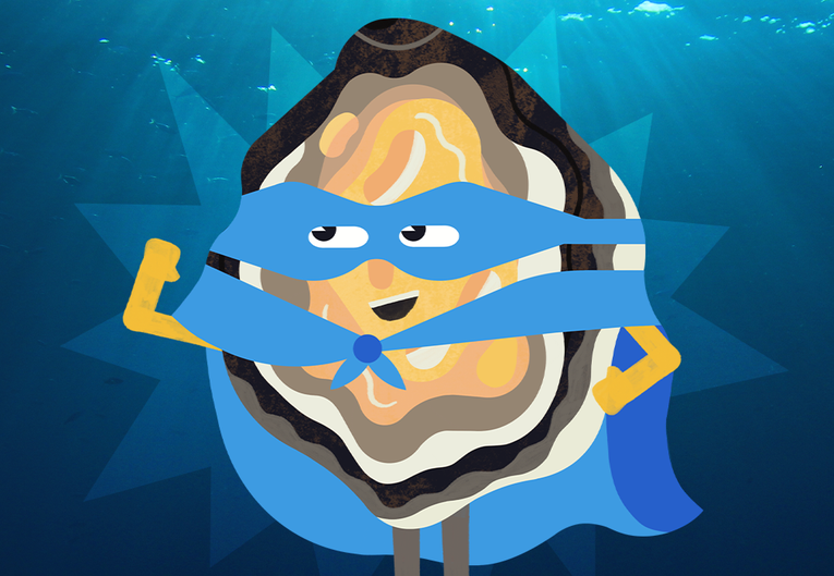 AC Appeal - Oyster - Homepage Banner - for small box