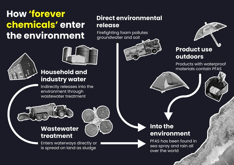 Big give 2026 - Ocean chemical crisis  - How PFAS enters the environment - Updated 23.04.2026