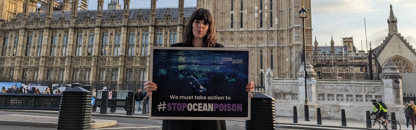 Campaigning outside Westminster - Ella Daish
