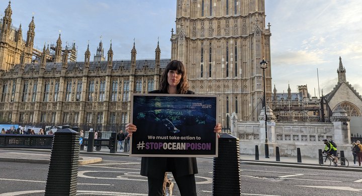 Campaigning outside Westminster - Ella Daish