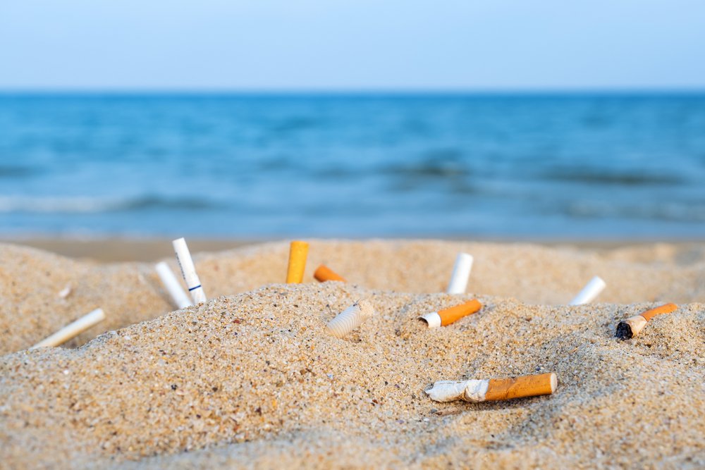 cigarette the beaches Cigarette butts | Ocean emergency