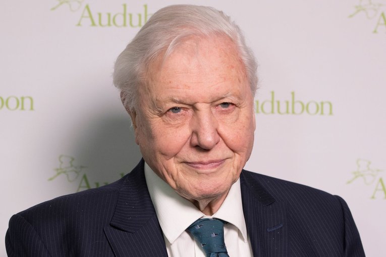 David Attenborough - Lev Radin