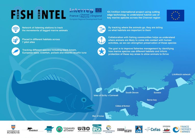 FISH INTEL project, Ocean emergency