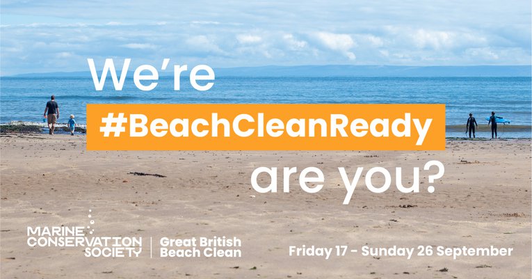 Beach Clean Ready