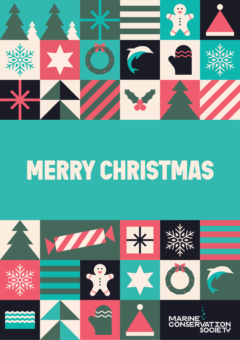 Christmas card cover - Gift membership - 2024