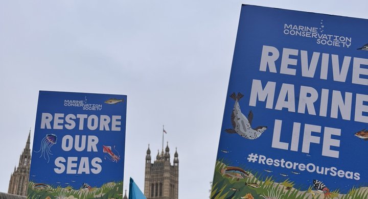 March for clean waters signs