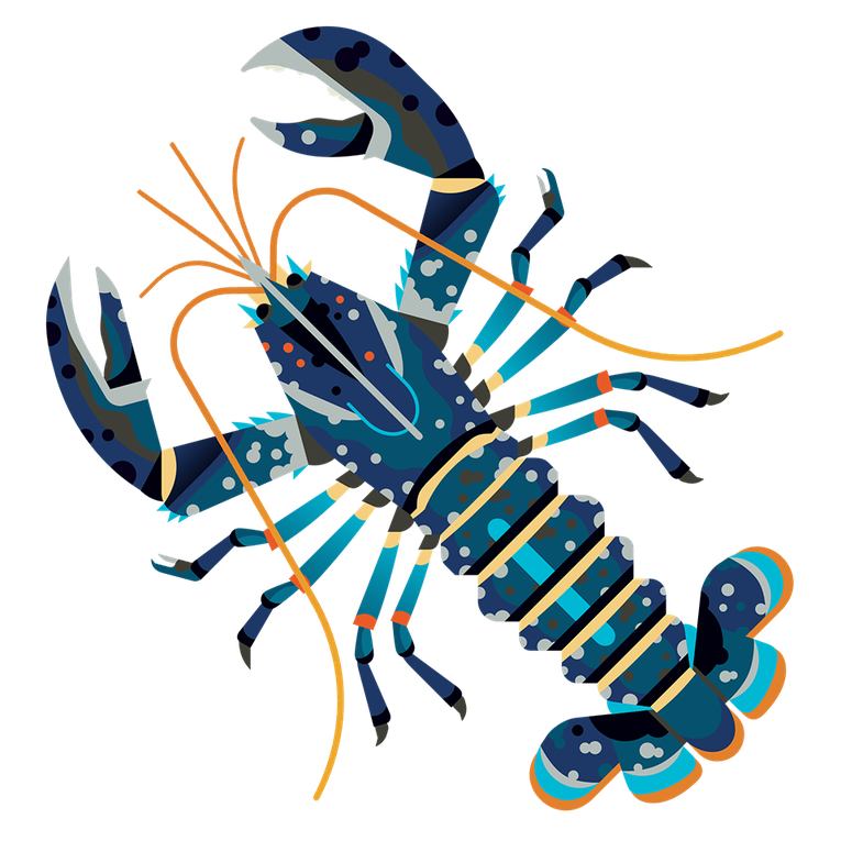 Lobster European M 960.png